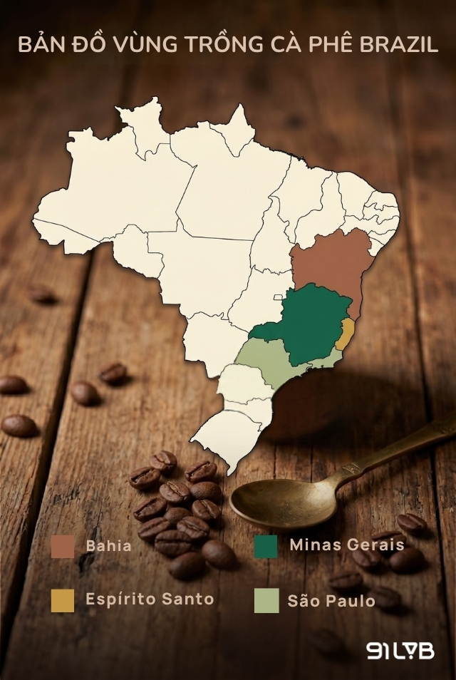 Các vùng trồng cà phê nổi tiếng tại Brazil