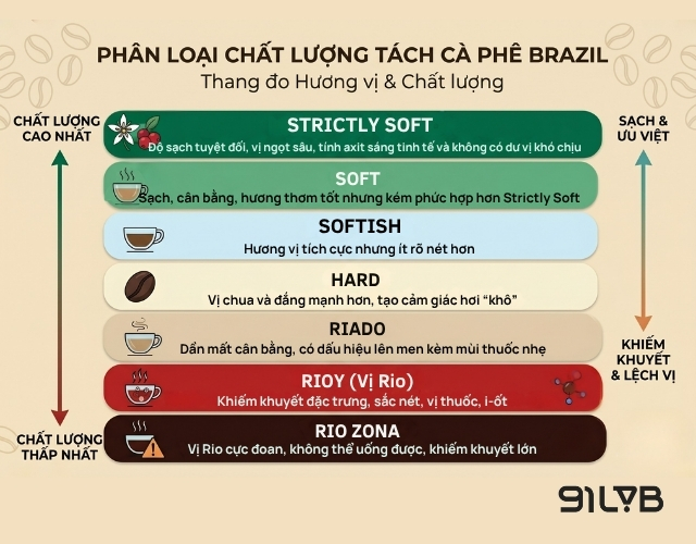 Hệ thống đánh giá dựa trên chất lượng hương vị của tách cà phê