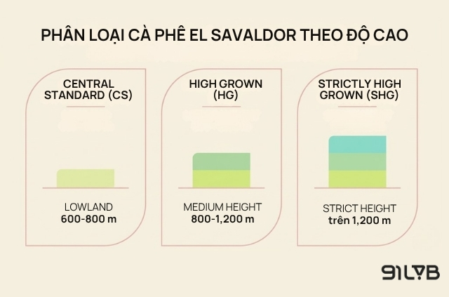 Hệ thống phân loại cà phê theo độ cao của El Salvador
