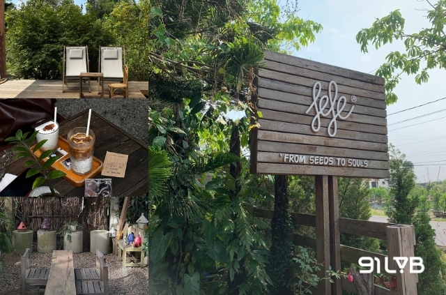 FeFe Coffee tràn ngập sắc xanh và vô cùng tĩnh lặng.
