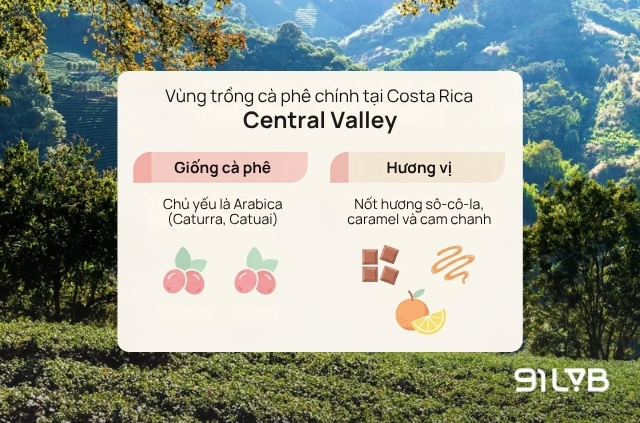 Vùng Central Valley (Thung lũng Trung tâm)