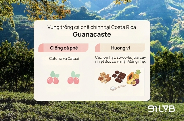 Vùng Guanacaste