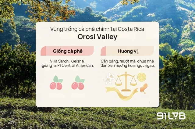 Vùng Orosi Valley - “Vùng đất của những thử nghiệm”