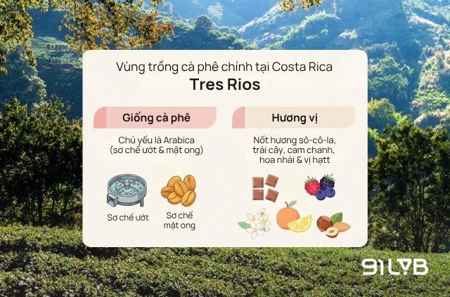 Vùng Tres Rios