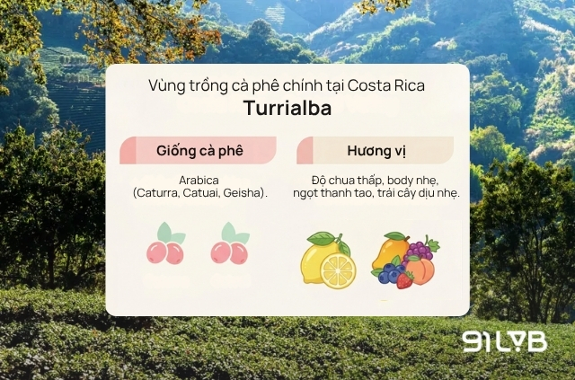 Vùng Turrialba
