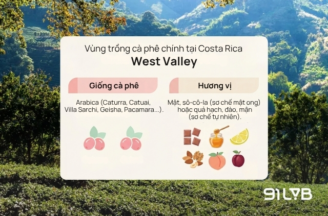 Vùng West Valley