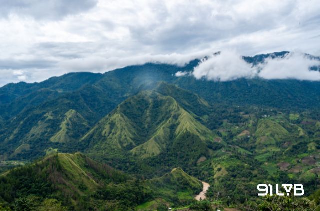 Bản đồ vùng trồng Sulawesi được định hình bởi những thung lũng sâu và đồi núi phức tạp tại Kalosi, Mamasa hay Tana Toraja