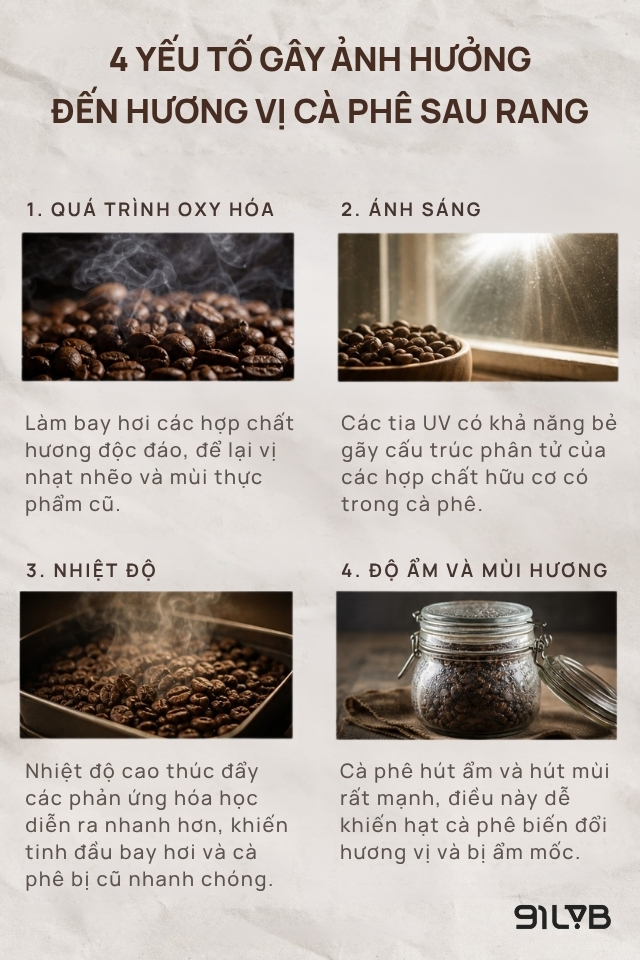 Cà phê là một thực phẩm nhạy cảm và cần được bảo quản kĩ lưỡng