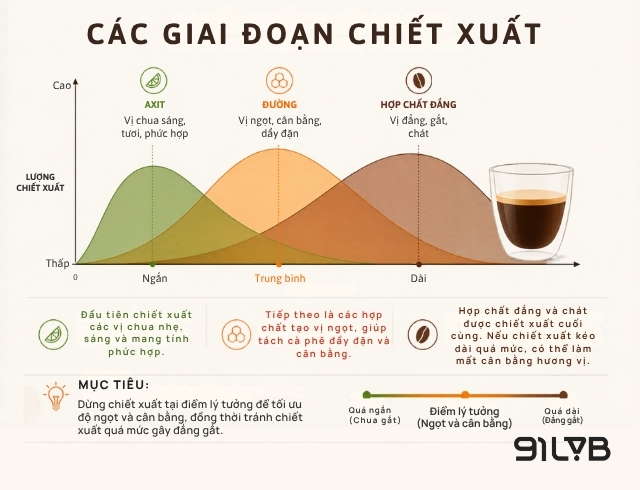 Các axit chua sẽ được chiết xuất đầu tiên, do đó Ristretto sẽ phù hợp với các loại cà phê có độ chua thấp 